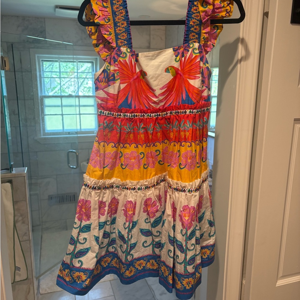 FARM Rio Multicolor Embroidered Mini Dress